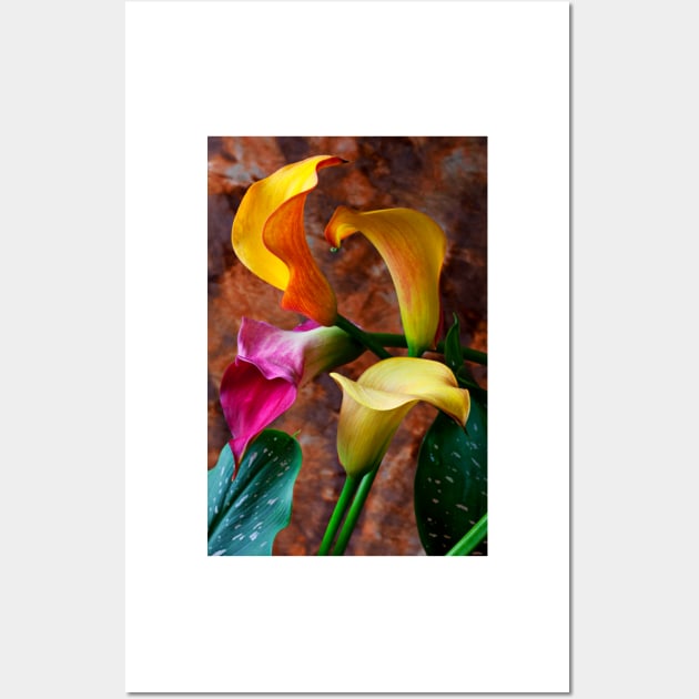 Four Calla Lillies Wall Art by photogarry